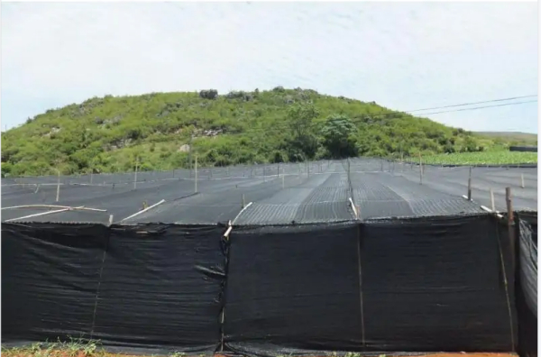 遮阳网市场爆发式增长：从“防晒工具”到“绿色科技载体”的产业跃迁