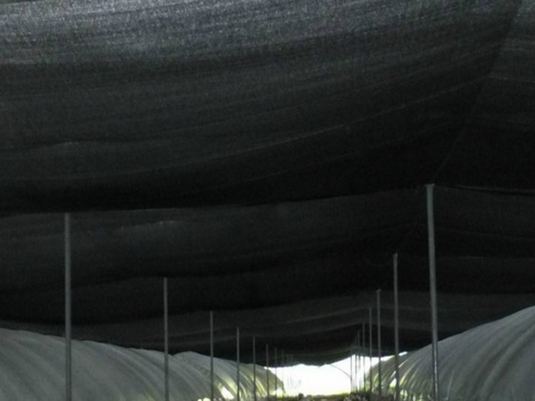 遮阳网价格怎么样？